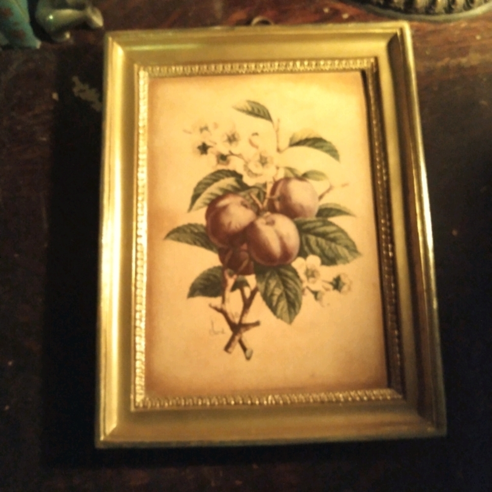 Borghese Framed Vintage Chirat Print